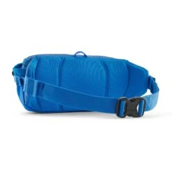 Patagonia Black Hole® Waist Pack 5L -Sportswear Shop black holer waist pack 5l waist pack patagonia 370479