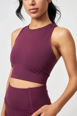 Dylan Crop Tank Bra - Made From Recycled Plastic Bottles -Sportswear Shop dylan crop tank bra made from recycled plastic bottles underwear girlfriend collective plum xs 474691