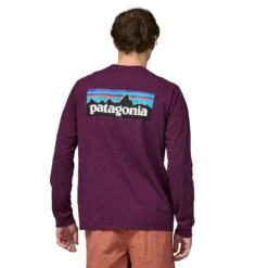 Patagonia M's Long-Sleeved P-6 Logo Responsibili-Tee® - Recycled Polyester -Sportswear Shop ms long sleeved p 6 logo responsibili teer recycled polyester shirt patagonia 430439