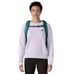 Patagonia Refugio Day Pack 30L - Recycled Polyester & Recycled Nylon -Sportswear Shop refugio day pack 30l recycled polyester recycled nylon bags patagonia 136436